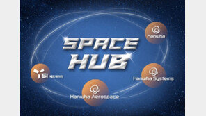 김동관 “우주 지름길 찾겠다”… 한화 ‘스페이스 허브’ 이끈다