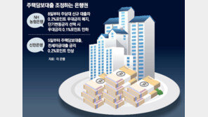 주담대 금리도 속속 올리는 은행들…대출규제 고삐 더 조인다