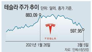 테슬라 주가 600달러 붕괴… 서학개미 ‘잠못드는 밤’