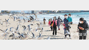 송정해수욕장의 한가한 휴일 풍경