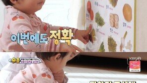 이천수 딸 주율, 언어 영재 등극…한글 공부도 척척