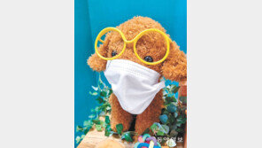 아프면 안 돼[고양이 눈]