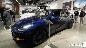 테슬라 600달러마저 깨졌다…주가 급락한 이유 4가지