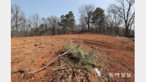 합조단, 차명 투기 가려내기 어려워… 野 “왜 전면 수사 안하나” 