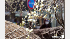 “봄바람 타고 보복소비 봇물”…백화점 주차하는데 40분 호텔도 ‘북적’