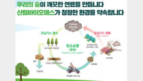“미이용 산림바이오매스, ‘탄소중립’ 에너지원으로 국제적 인정”