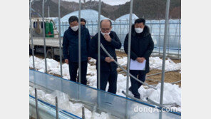[포토]유찬형 농협중앙회 부회장, 강원 폭설 피해 현장 점검