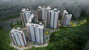 강원도 아파트 매입 9년 만에 최대...부동산 시장 ‘활기’