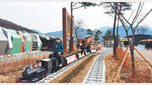 재미있는 꼬마열차 체험