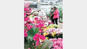 꽃위에 내려앉은 봄