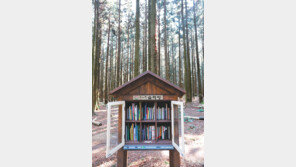 봄이 담긴 이야기[고양이 눈]