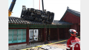 9t 사다리차, 보물 141호 지붕위로 쿵… 가지치기 작업하려 옮기다 추락