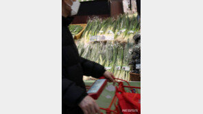 “금파된 대파” 가격 폭등 지속…한파에 배추도 오름세