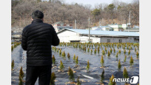 “동의서 못내”…국토부·LH 직원 13명, 개인정보수집 거부