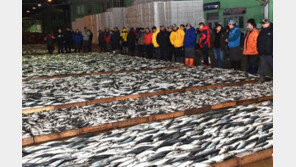 코로나 집단감염에…‘국내 최대’ 부산공동어시장 업무 중단