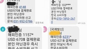 “해외결제 됐는데 본인 맞냐”…사칭 메시지 주의 당부