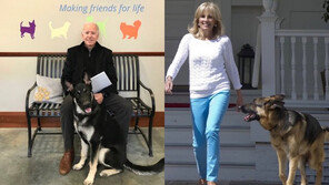 ‘공격적 행동’ 탓…바이든의 반려견들 백악관서 거주 못해