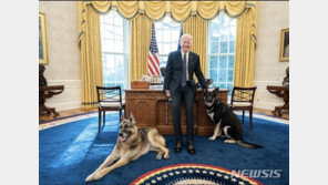 경호원 물림 사고…‘견생역전 퍼스트 독’ 백악관서 퇴출