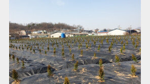 “3기 신도시 땅 가지고 있다” 시흥 소속 공무원 4명 자진신고