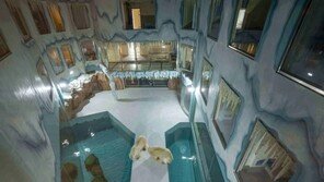 북극곰 24시간 볼 수 있는 中호텔 개장…“동물 학대”