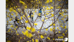 날씨]11일 전국 낮 기온 15도 안팎…수도권·충청 대기질 ‘나쁨’