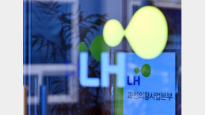 770명 매머드급 ‘LH 합수본’에 검사 1명도 없어