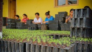 코이카, 과테말라 산림복구 위한 나무 종자 50kg 기증