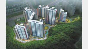 최고 36층… 비규제 지역 삼척에 첫 위브 아파트