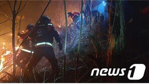 전남 곡성서 산불…산림 0.01㏊ 태우고 4시간 만에 진화