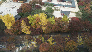 서울 ‘덕수궁길’ 걷기 편한 탐방로 된다…6월 완공