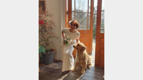 김성령, 50대의 눈부신 드레스 자태 ‘여전한 아름다움’