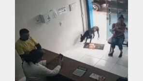 ‘고쳐주세요’ 절뚝거리며 동물병원 찾은 떠돌이 개 (영상)