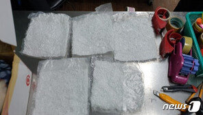 개 구충제로 속이고…필로폰 ‘21만 명분’ 밀수 일당 검거