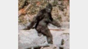 “‘빅풋’ 잡아오면 24억 준다” 현상금 건 美오클라호마주…왜?