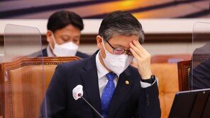 논객 삼호어묵 “文, 적폐청산 할 때…변창흠 목 날리시라”