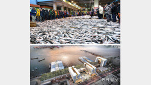 부산공동어시장 현대화사업 지지부진… 언제 마무리 될까?