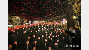 옥수역 고가 아래… LED 장미가 활짝