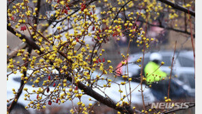 전국 곳곳에 봄비 내려…밤까지 대부분 그칠 듯