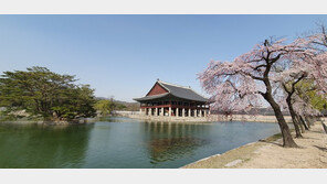 궁궐·조선왕릉 봄꽃 먼저 핀다…평년보다 2~7일 빨라