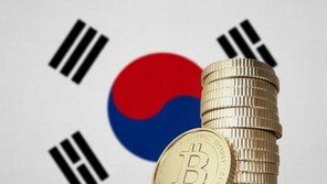 비트코인 6600만원 고지도 넘었다…최고가 쓴 뒤 소폭 하락