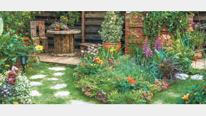 작은 정원에서 누리는 충만한 치유의 에너지