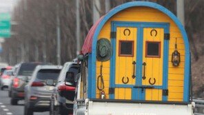 [고양이 눈]모험을 떠나요!