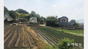 野 “文 양산사저 부지, 농지법 위반”…與 “盧 아방궁 촌극 잊지 말라”