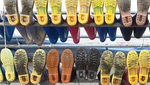 [고양이 눈]즐거운 휴식