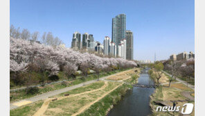 대한민국 서울, 미국인이 꼽은 올해 가고 싶은 여행지