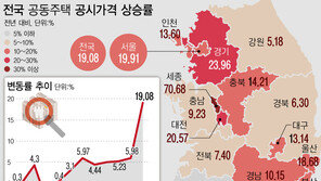 전국 공동주택 19.08% 상승, 14년만에 최대…세종 70.7%
