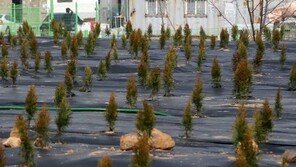 “여당의원 배우자·부친도 기획부동산 의심” 시민단체 고발