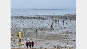 제부도 갯벌에 실종된 남성 2명, 숨진 채 발견