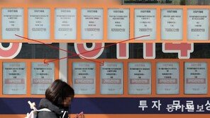 세종시 아파트도 8개월 새 6억 올랐다 [청계천 옆 사진관]