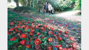 “꽃길을 걸어요”